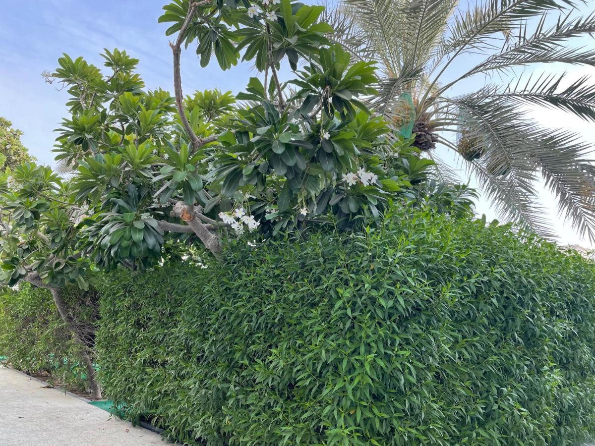 שארג'ה Al Corniche Hotel מראה חיצוני תמונה
